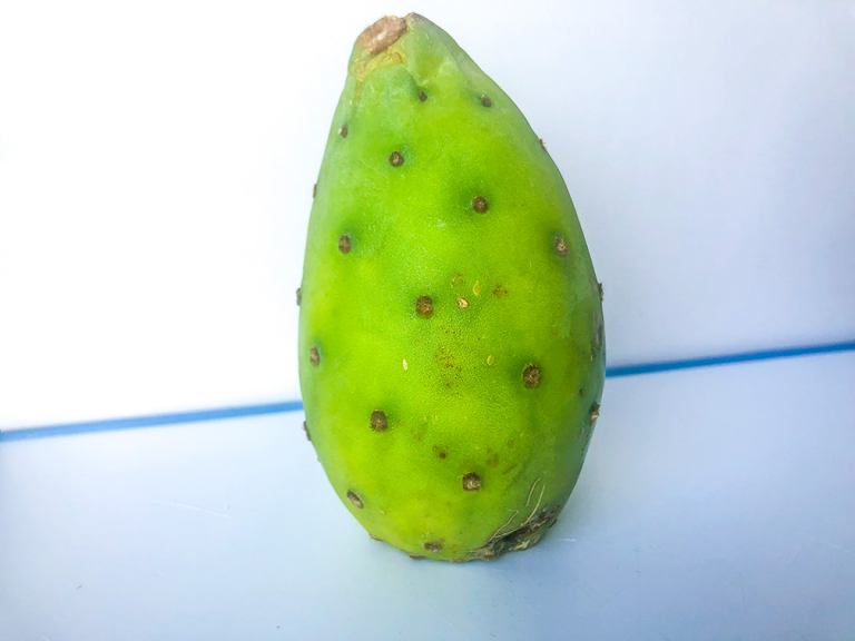 Fruto Tuna (Opuntia ficusindica) MarioMéxico